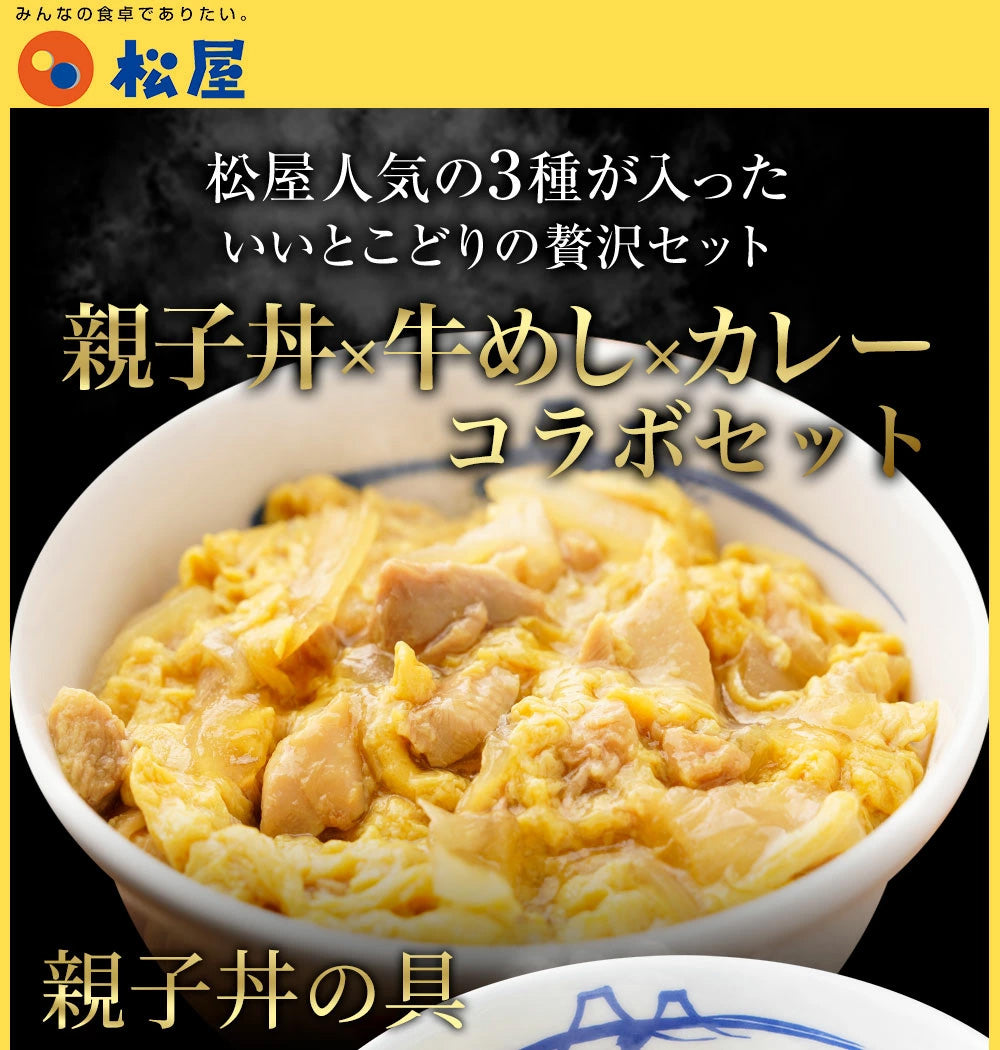 牛めし10食 親子丼10食 オリジナルカレー10食セット 計30食