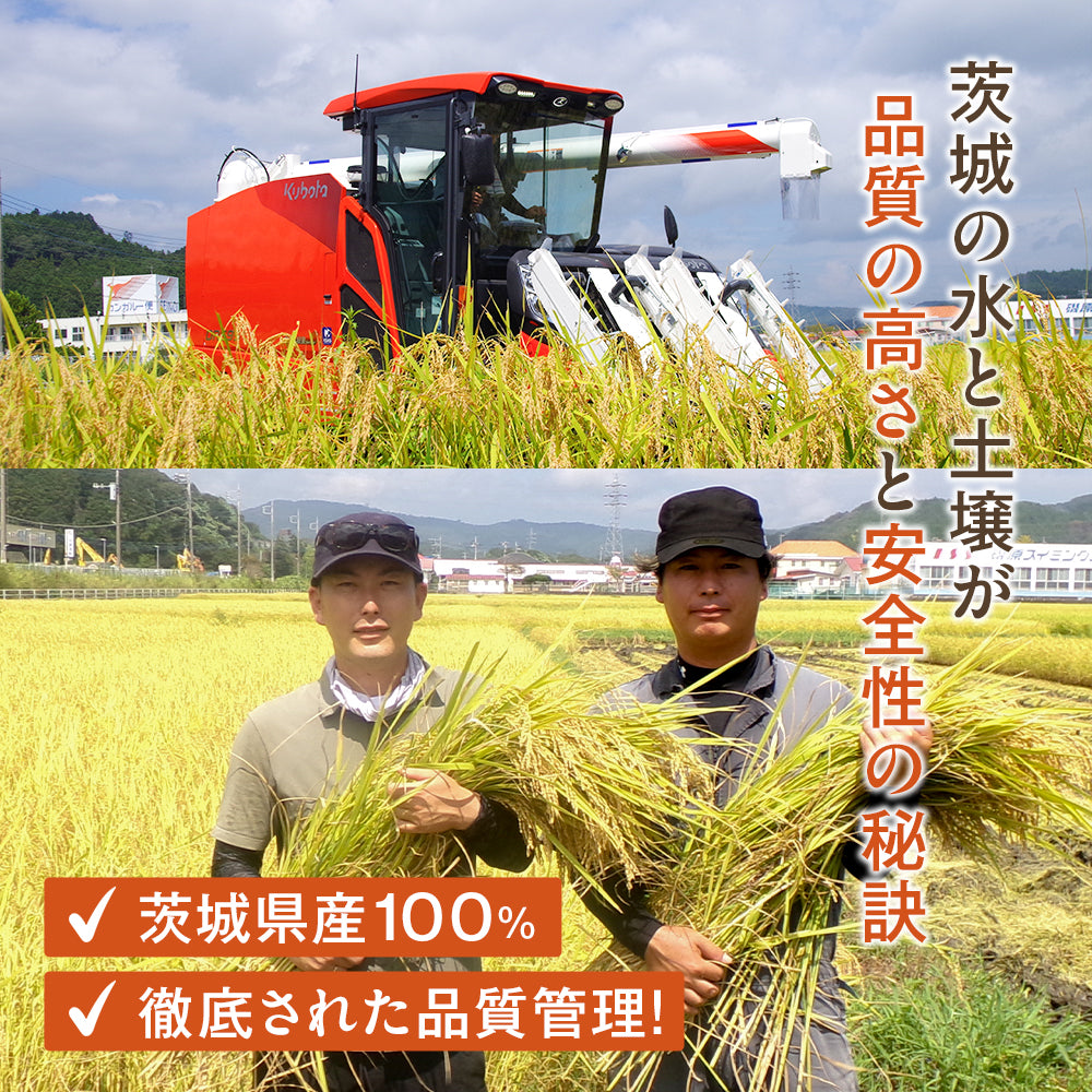 【送料無料】 松屋 国産ブレンド米 5kg 1袋/2袋