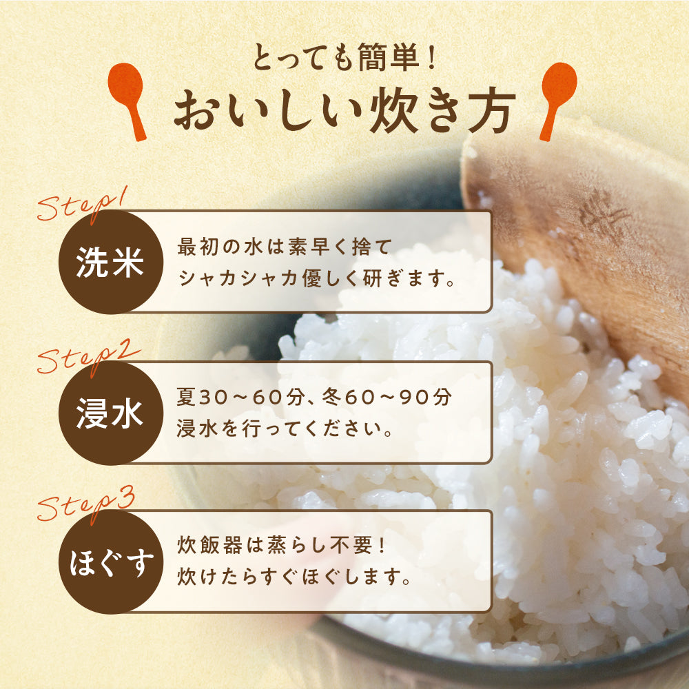 【送料無料】 松屋 国産ブレンド米 5kg 1袋/2袋