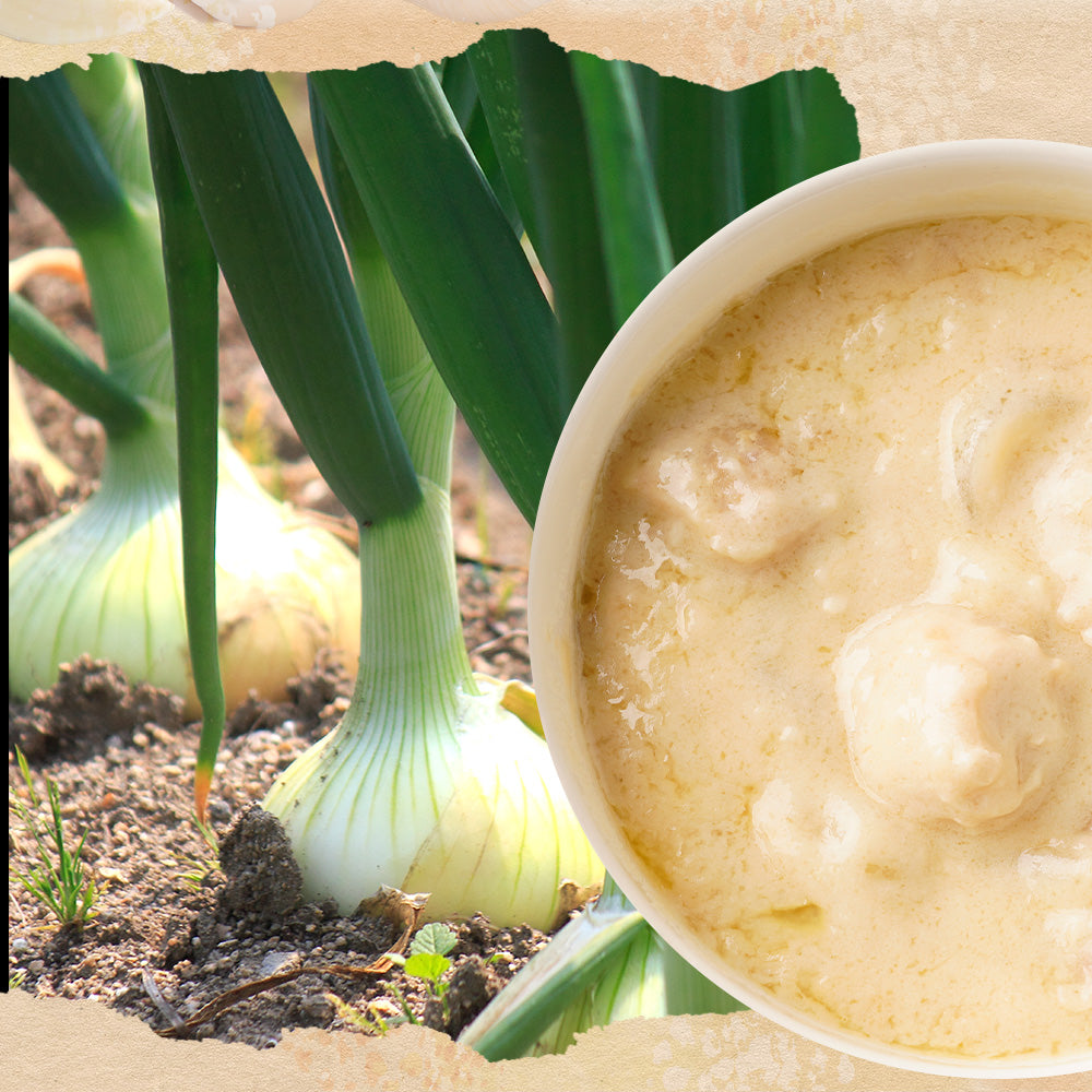 牛めしの具(プレミアム仕様)15食とシュクメルリ5食とカレー10食 計30食セット