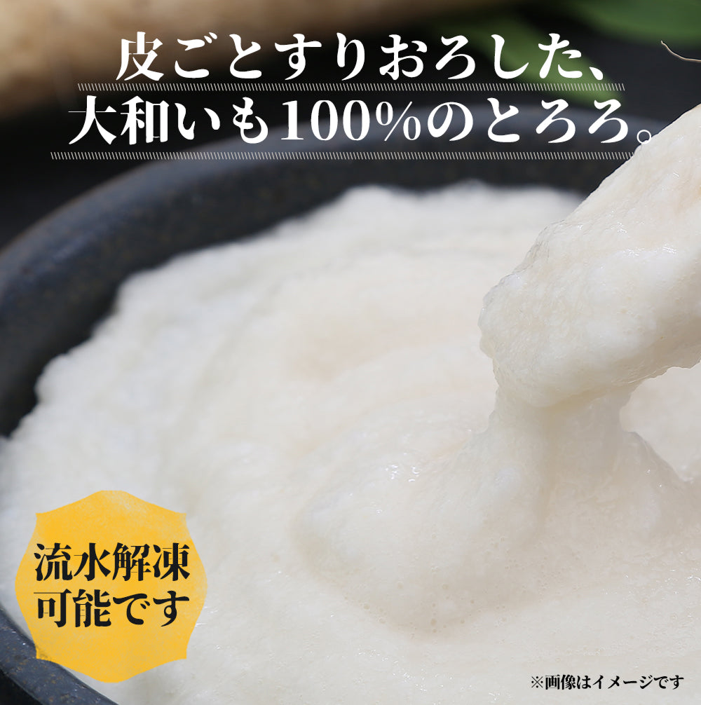 国産とろろ カットうなぎ セット 16食/24食