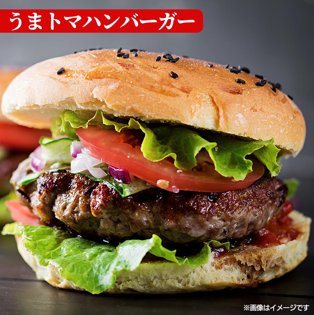 うまトマハンバーグ 4/9/12/16/24食