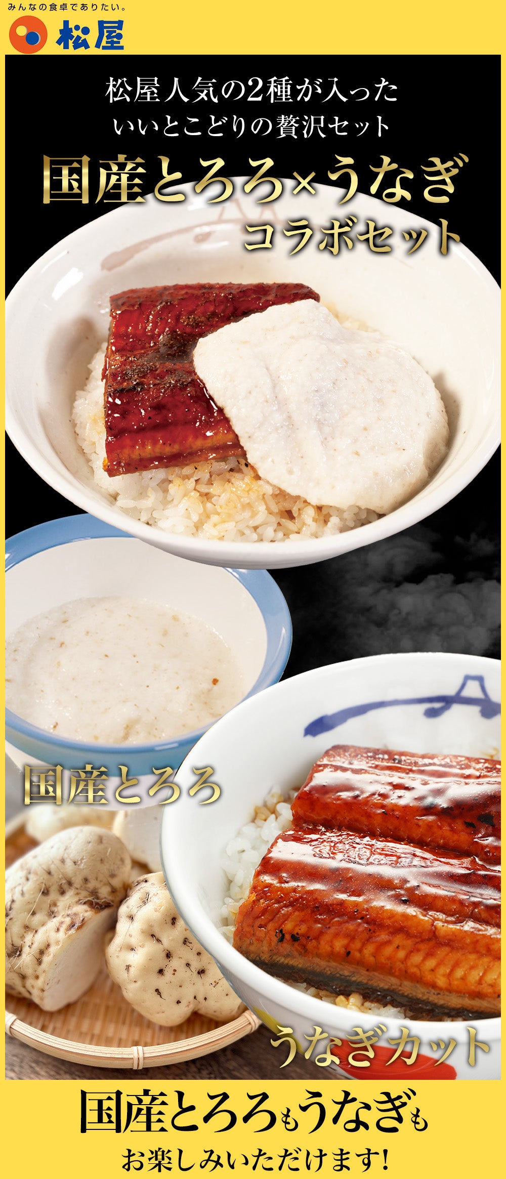 国産とろろ カットうなぎ セット 16食/24食