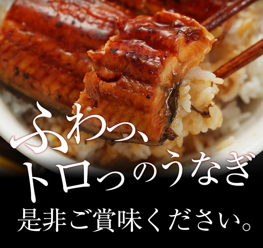 牛めし×シュクメルリ×うなぎセット 3種15食/3種25食