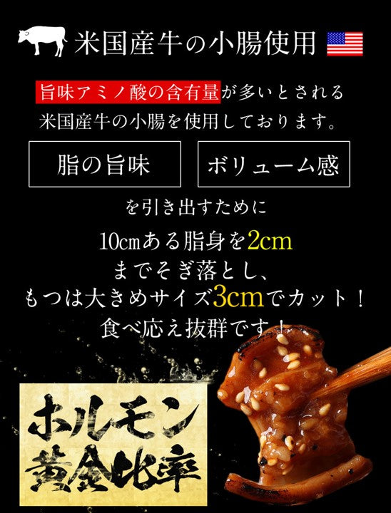 【送料無料】牛ホルモン焼