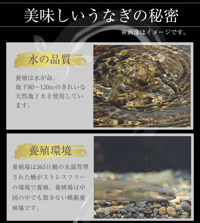 【送料無料】ふわっとろカット鰻(うなぎ)