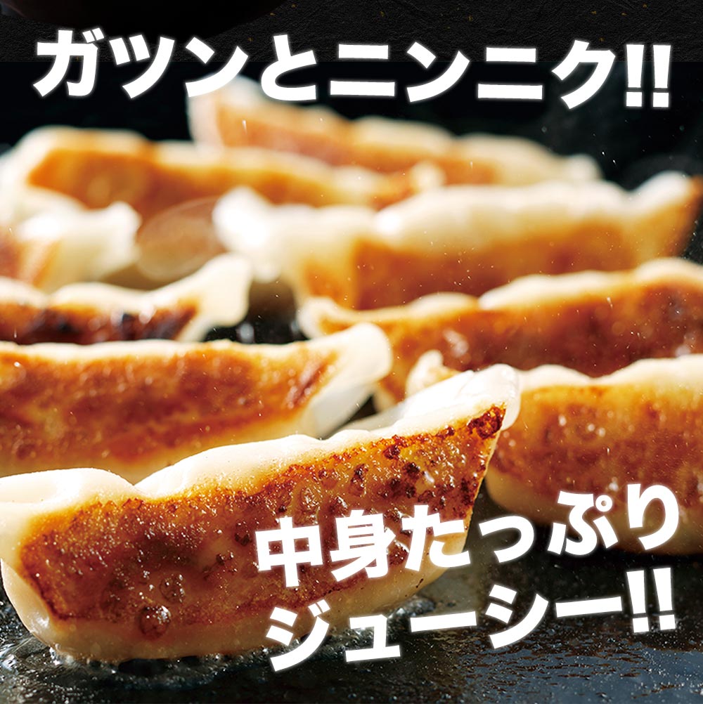 松軒中華食堂 調理済大きめ焼餃子