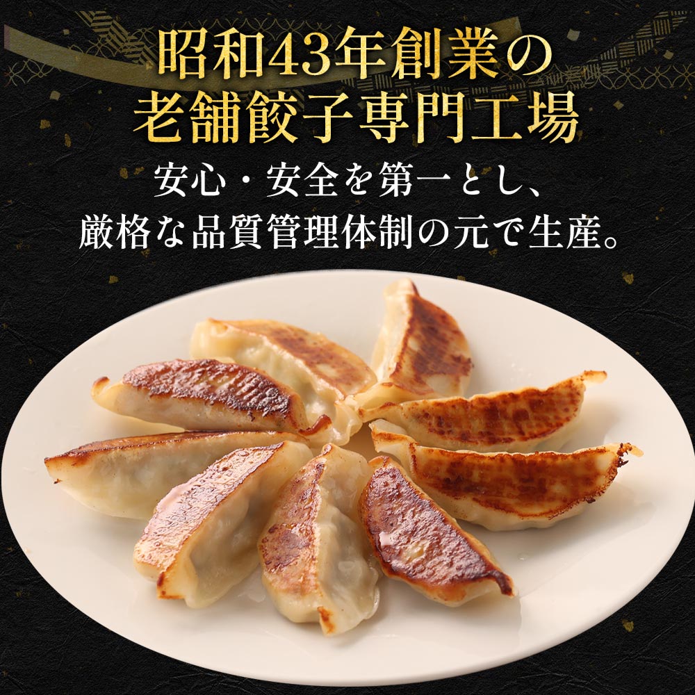 松軒中華食堂 調理済大きめ焼餃子