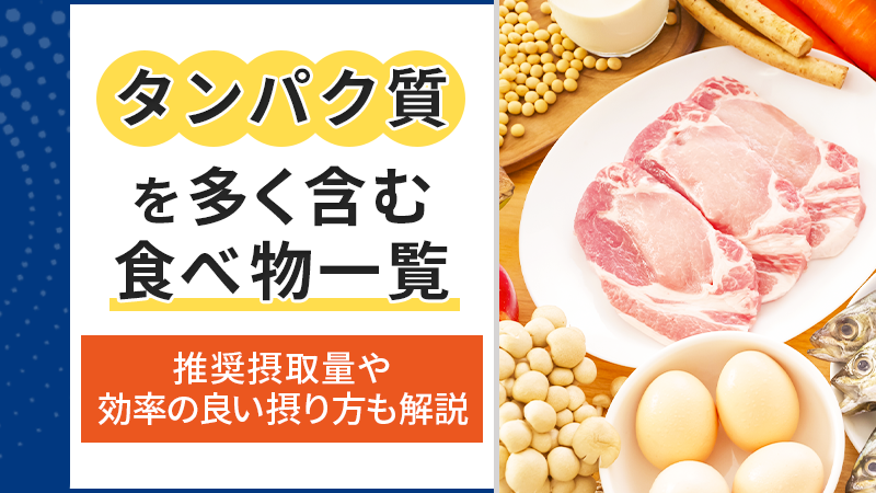 タンパク質を多く含む食べ物一覧丨推奨摂取量や効率の良い摂り方も解説