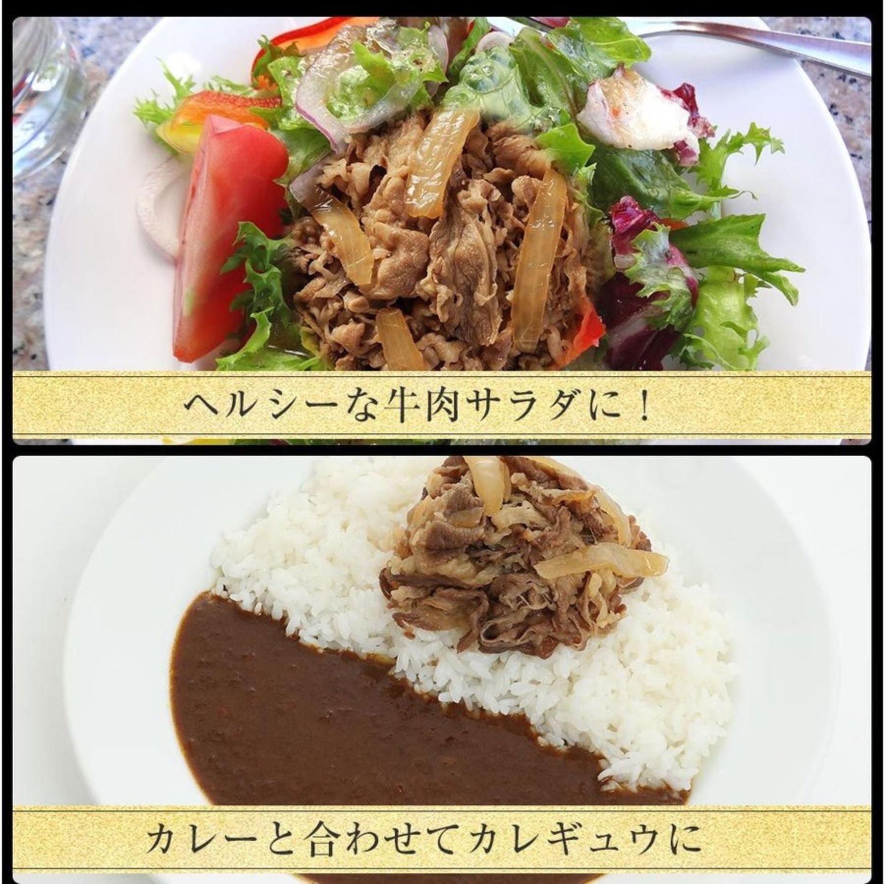 704牛めしの具プレミアム仕様10食セット