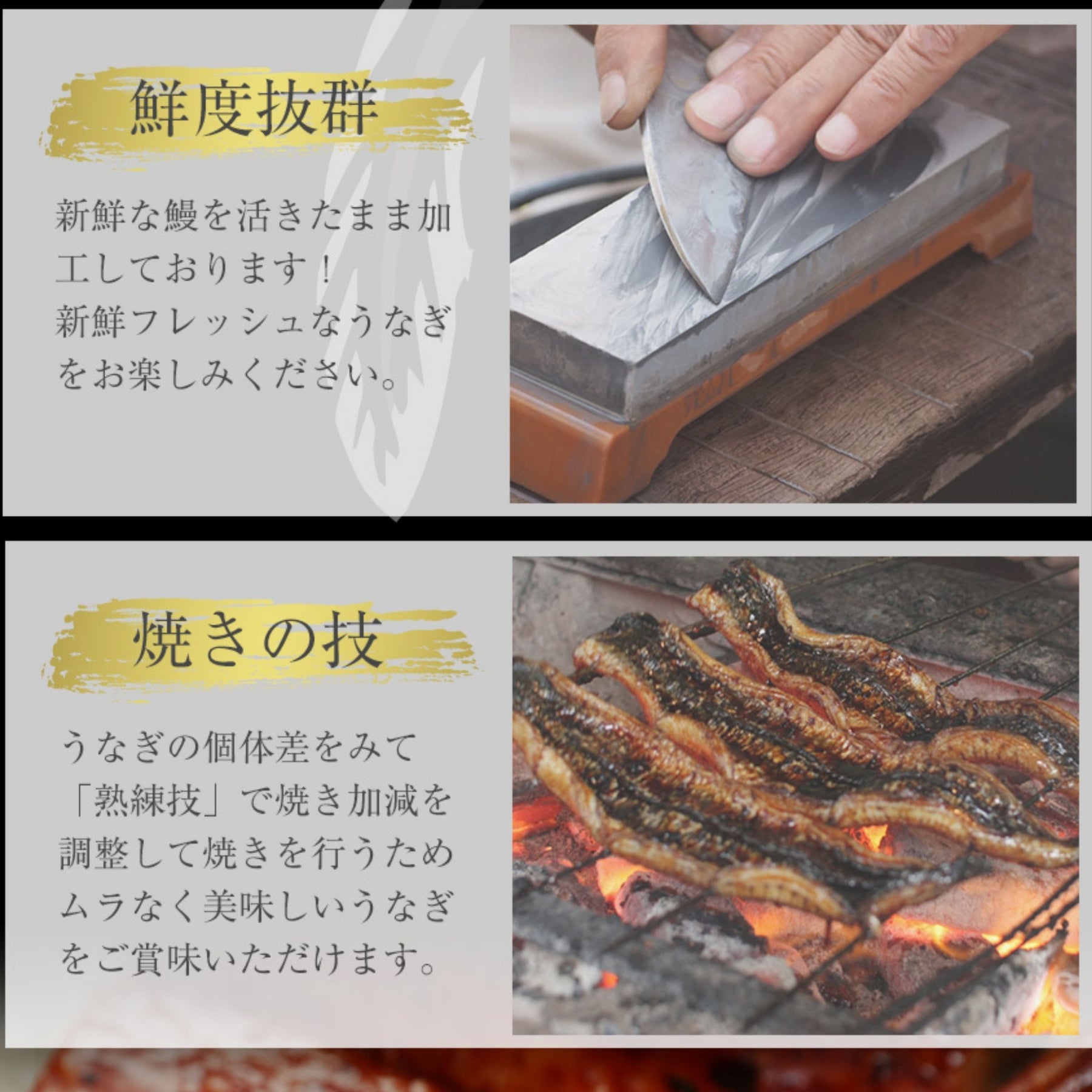 【001】うなぎ10食セット