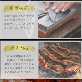 【001】うなぎ10食セット