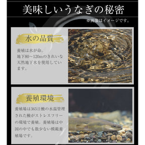 【001】うなぎ10食セット