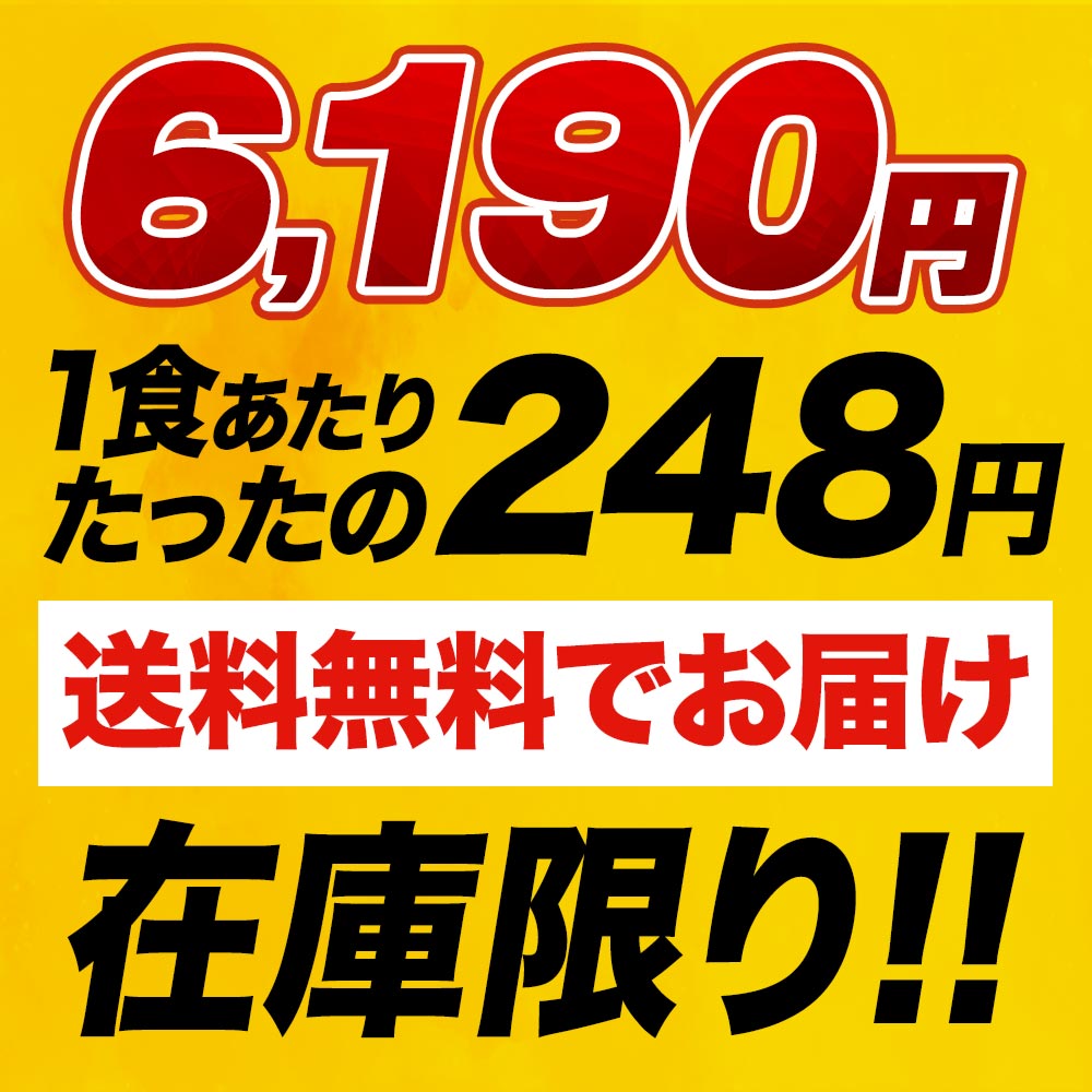 ブラックフライデー超盛セット 11種25食