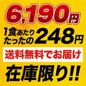 ブラックフライデー超盛セット 11種25食
