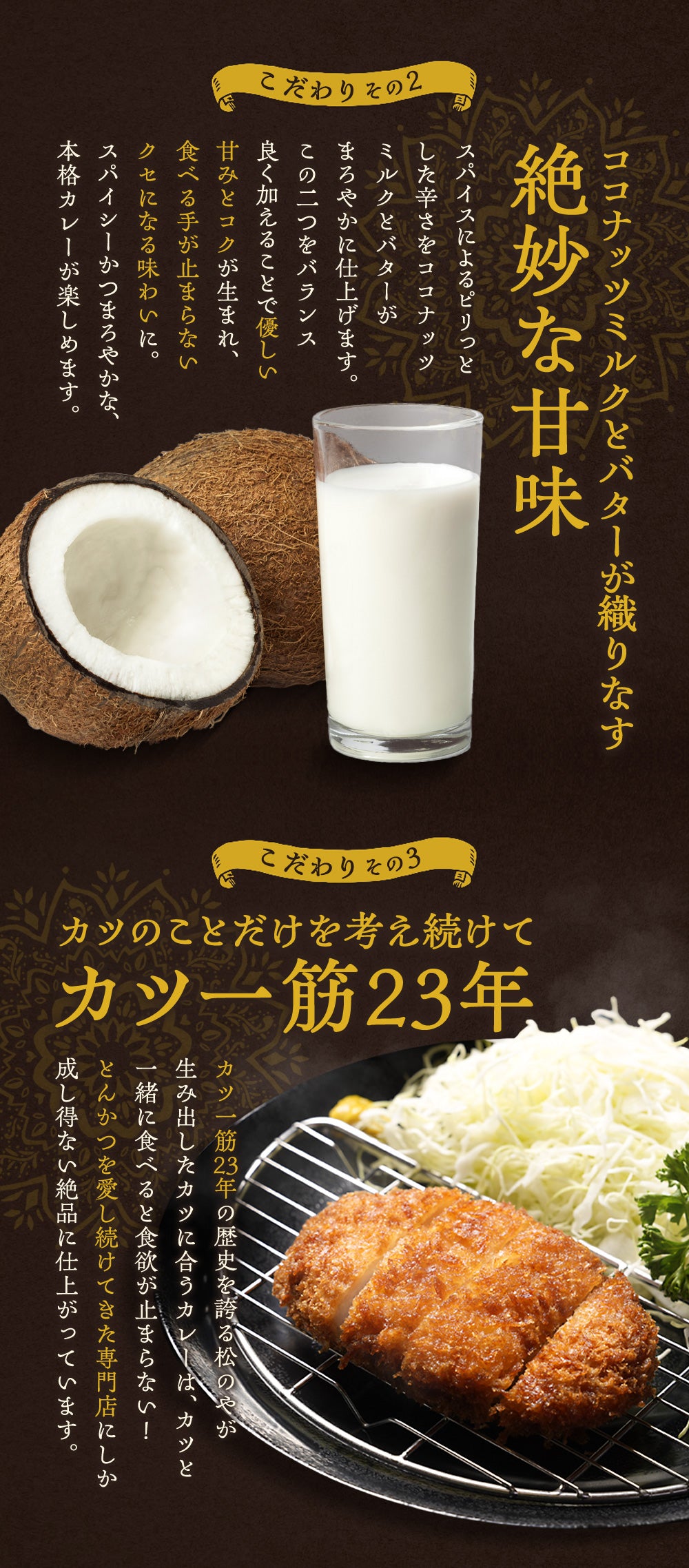 ロースかつ10食と松のやカレー10食