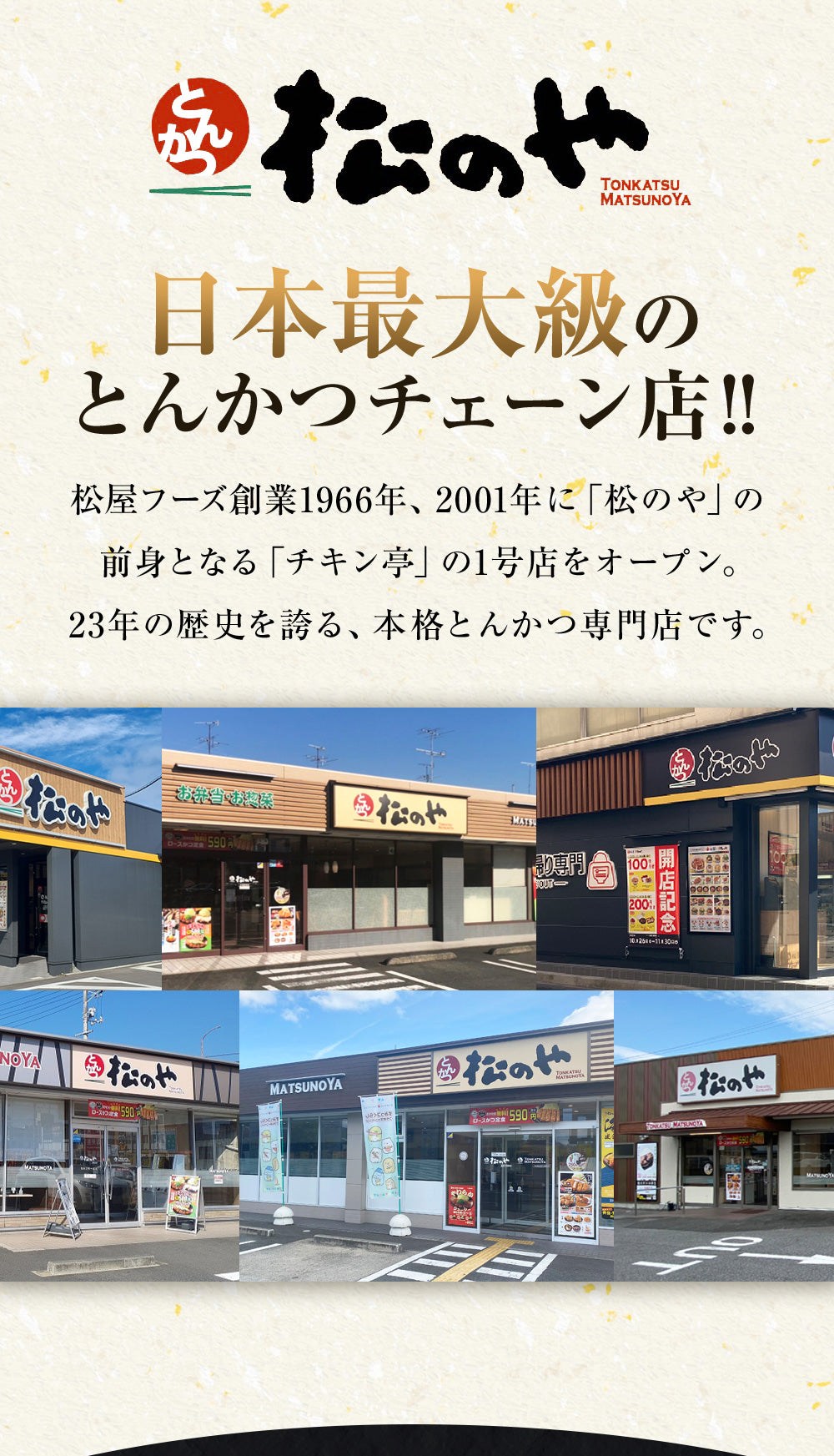 ロースかつ10食と松のやカレー10食