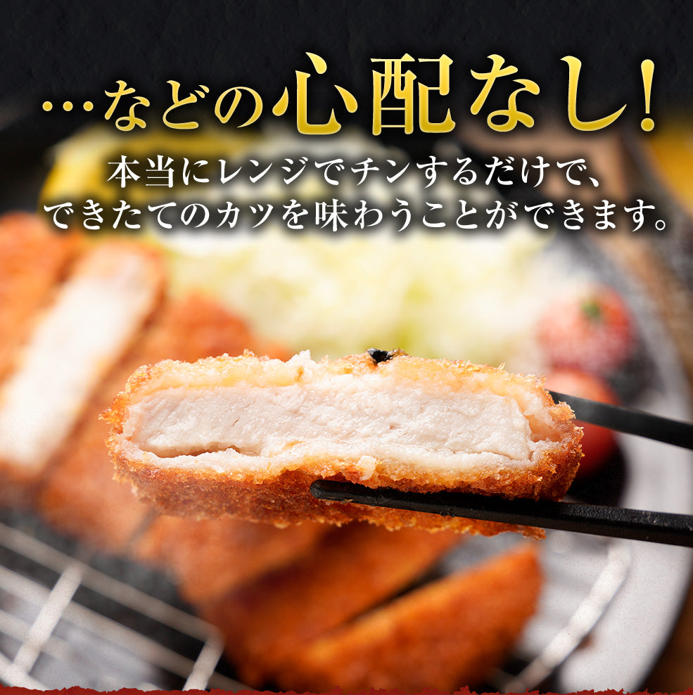 ロースかつ10食と松のやカレー10食