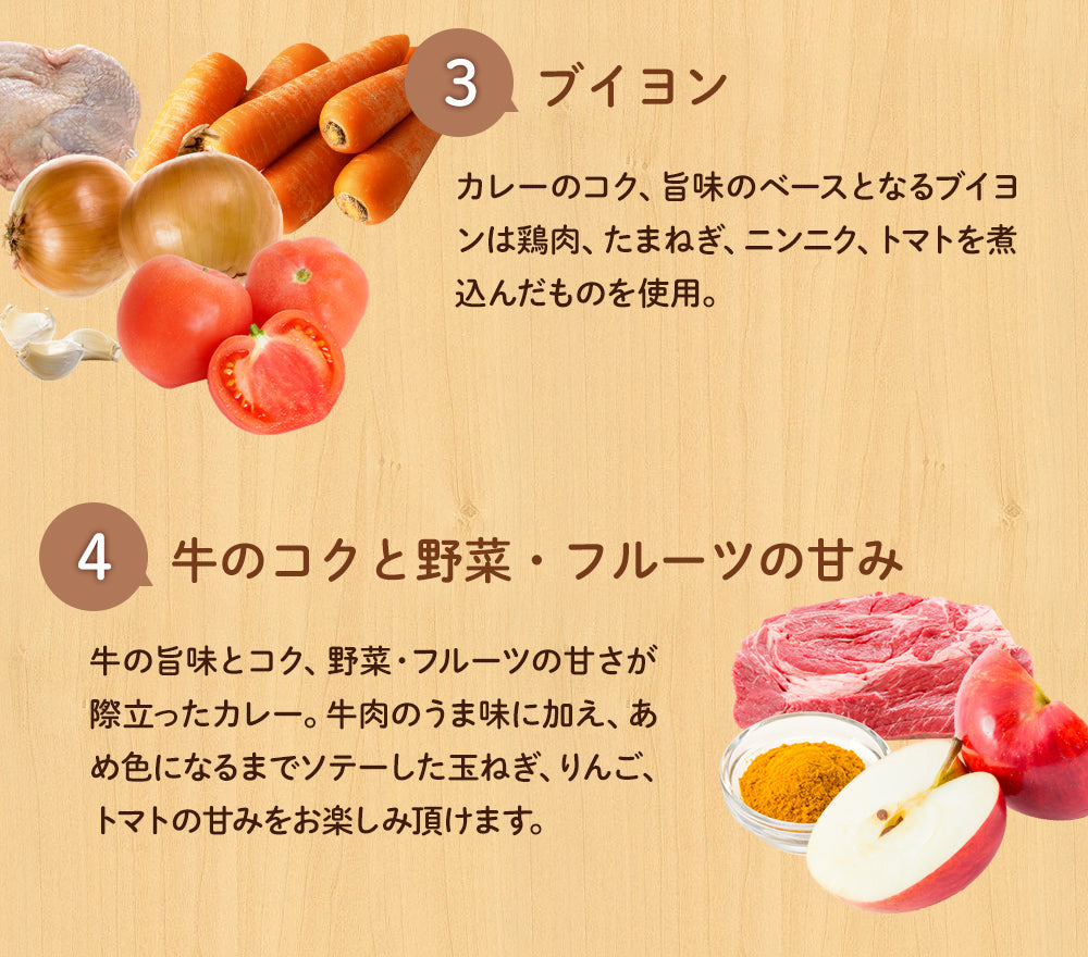 【送料無料】マイカリー食堂『欧風カレー』デミグラスベースの濃厚さ！辛い物が苦手な方・お子様にもオススメ！