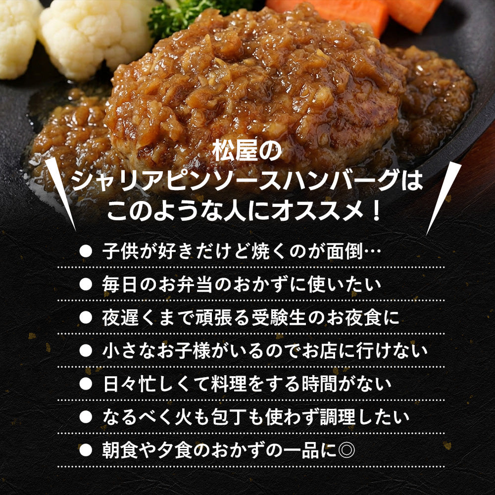 シャリアピンハンバーグ　1食