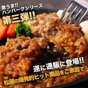 シャリアピンハンバーグ　1食