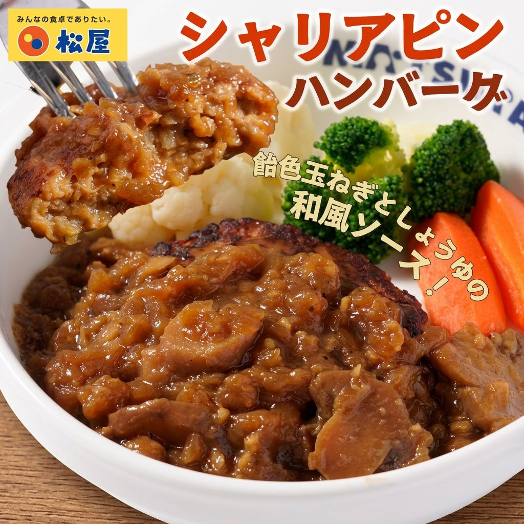 シャリアピンハンバーグ　12食