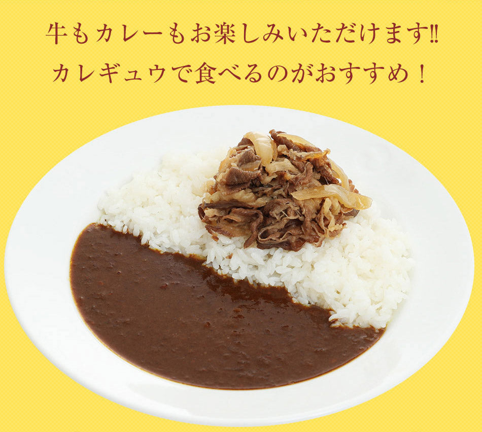 【送料無料】定番4種20食の詰合せ 牛めし/豚めし/カレー/牛めしバーガー