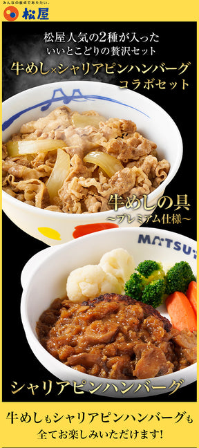 【衝撃の最大52％OFF】 牛めしの具 120g＆シャリアピンハンバーグ 10/20食