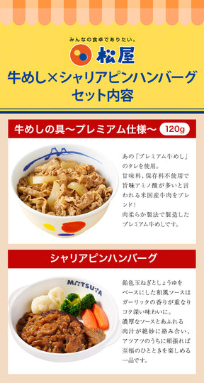 【衝撃の最大52％OFF】 牛めしの具 120g＆シャリアピンハンバーグ 10/20食