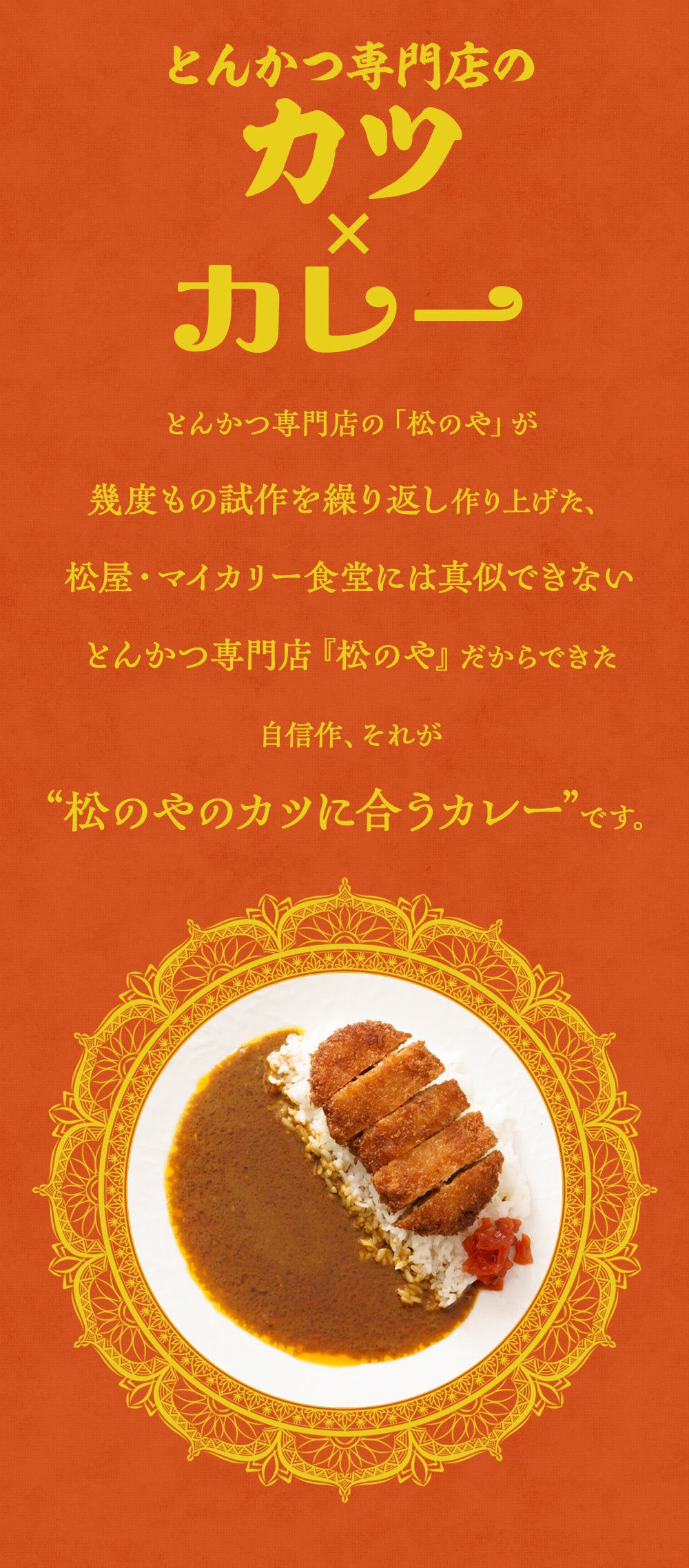 松のやカレー 26食
