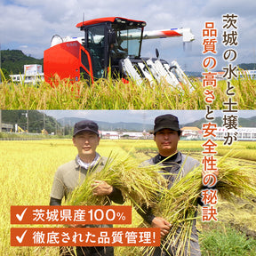 【送料無料】 松屋 国産ブレンド米 5kg　1袋/2袋