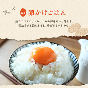 【送料無料】 松屋 国産ブレンド米 5kg　1袋/2袋