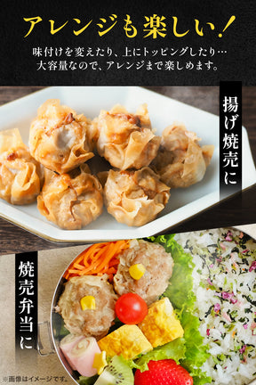 焼売 20袋（1袋8個入り×20袋／CS）　全160個