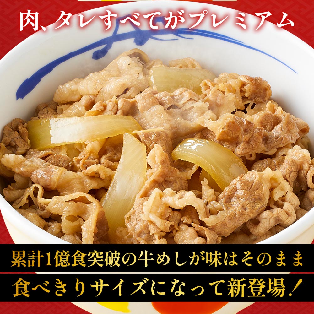 【送料無料】 松屋 食べきりサイズ 牛めしの具 120g【冷凍】