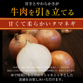 【送料無料】 松屋 食べきりサイズ 牛めしの具 120g【冷凍】