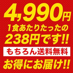 【衝撃の52％OFF！】松屋 スーパー全部盛り 5種21食 セット  牛めし/豚めし/カレー/乳酸菌入牛めし/糖質オフ牛めし