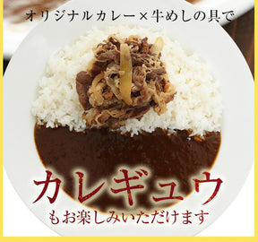 【005】お試し10食セット（プレミアム仕様牛めしの具 120g 4食・豚めしの具 3食・オリジナルカレー 3食　）