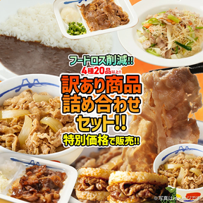 【訳あり商品】 4種20品以上の詰合せ《フードロス削減！》